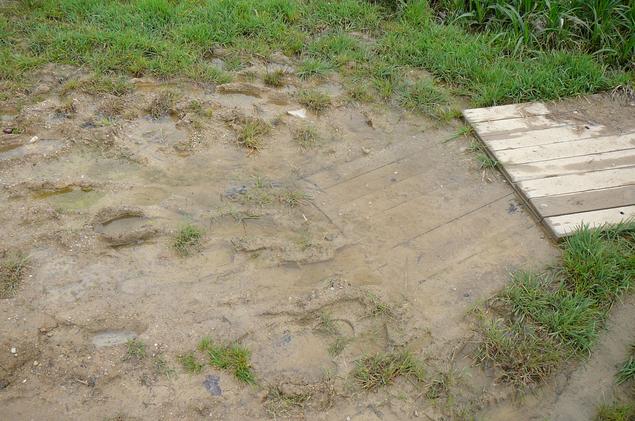 P1080651.JPG